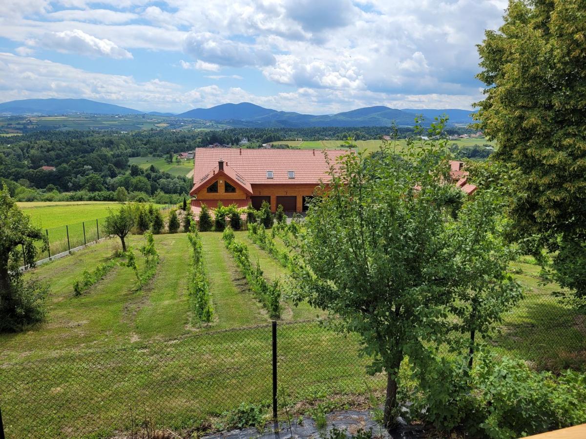 Fantastic View Vineyard Beskid Mountains Gruszow  Exterior foto