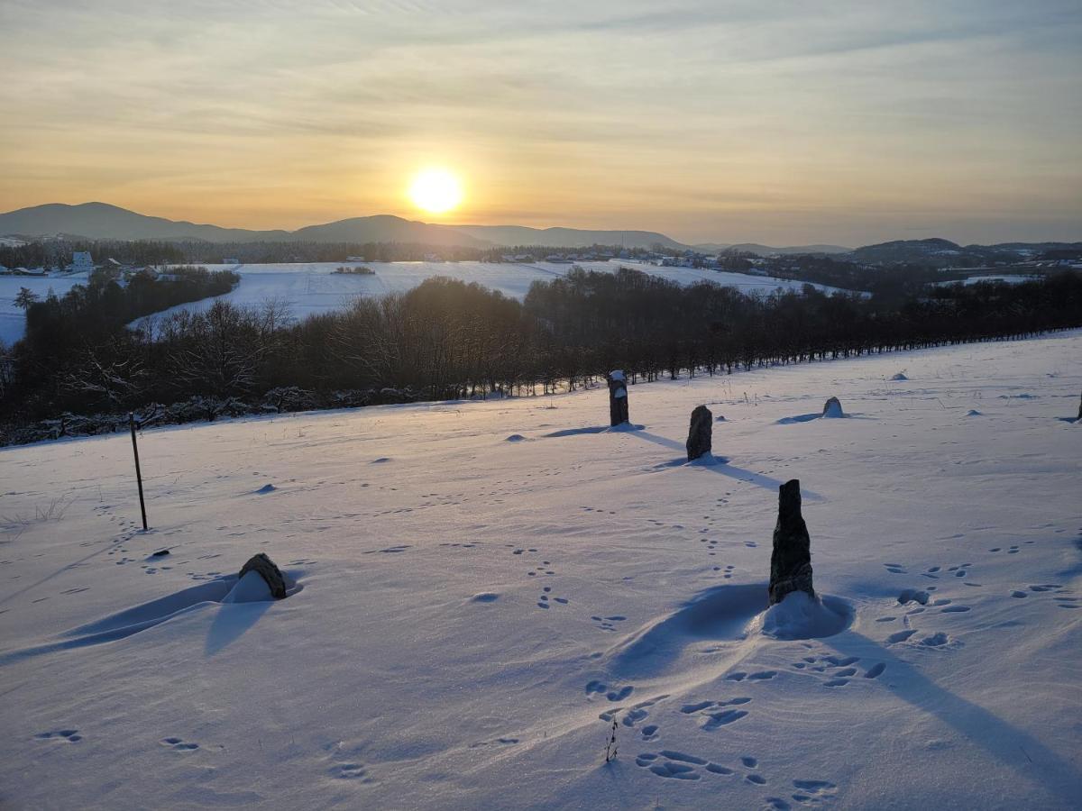 Fantastic View Vineyard Beskid Mountains Gruszow  Exterior foto